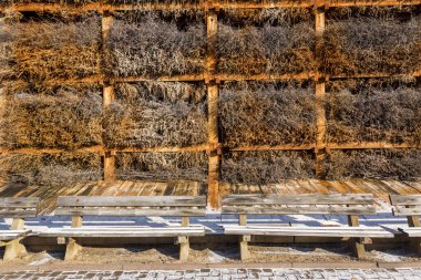 Konstancin Jeziorna, Mazowieckie, Polonya 'da park alanında mezuniyet kulesi