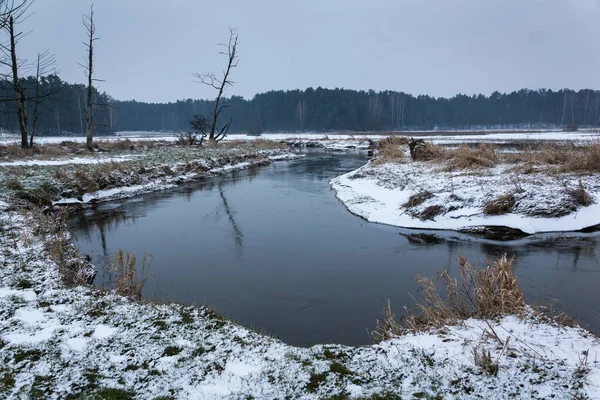 波兰Masovia Bogatki村附近的Jeziorka河冬季景观 — 图库照片