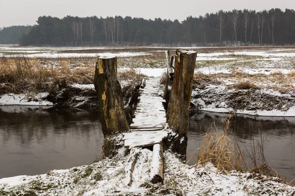 波兰Masovia Bogatki村附近的Jeziorka河冬季景观 — 图库照片