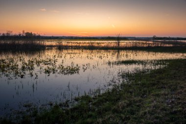 Strekowa Gora, Podlaskie, Polonya 'da gün doğumunda Narew Nehri' nin durgun suları