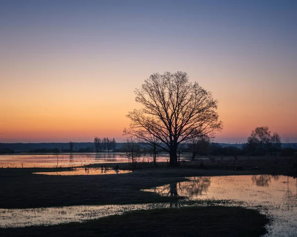 Backwaters of the Narew River at sunrise in Strekowa Gora, Podlaskie, Poland