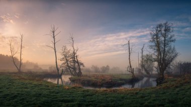 Foggy morning on the Jeziorka river near Piaseczno, Poland clipart