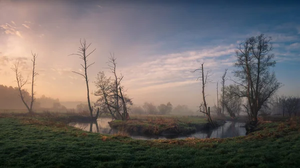 Foggy Matin Sur Rivière Jeziorka Près Piaseczno Pologne — Photo