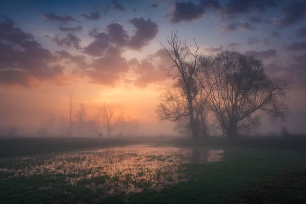 Nebel Morgen Auf Dem Fluss Jeziorka Bei Piaseczno Polen — Stockfoto