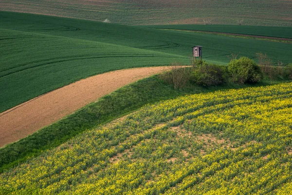 Chech共和国Karlin附近春天的Moravian油田和草地 — 图库照片