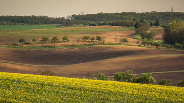 Moravian fields and meadows at spring near Karlin, Chech Republic