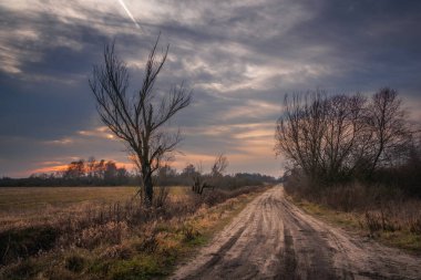Calowanie bataklığında günbatımı, Celestynow, Polonya