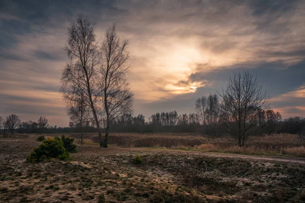 Duna Pekatka Perto Bagno Calowanie Parque Paisagístico Masoviano Celestynow Polônia — Fotografia de Stock