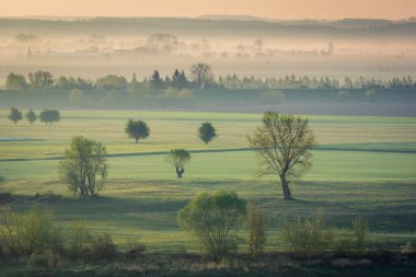 Gniew 'deki Vistula Nehri Vadisi, Pomorskie, Polonya