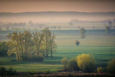 Gniew 'deki Vistula Nehri Vadisi, Pomorskie, Polonya