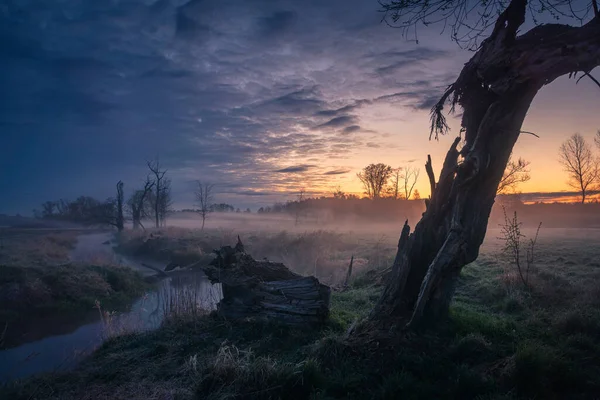 Amanecer Valle Jeziorka Cerca Piaseczno Masovia Polonia —  Fotos de Stock