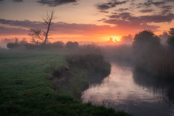 Підводний Схід Сонця Долині Річки Єзьорка Поблизу Пясечно Польща — стокове фото