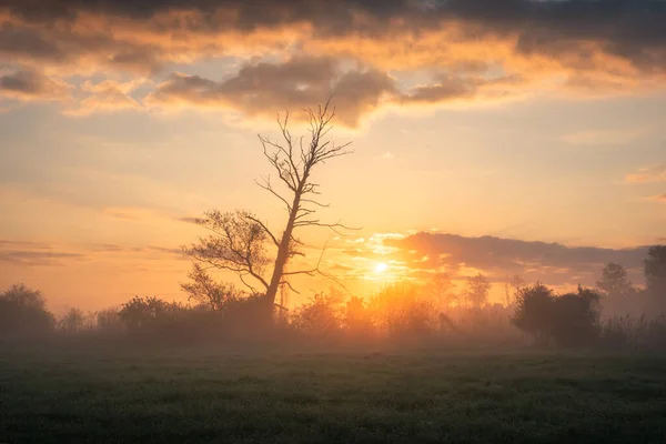 Туманный Восход Солнца Долине Реки Езёрка Близ Пьясечно Польша — стоковое фото