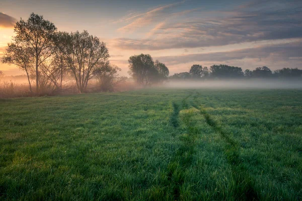 Туманный Восход Солнца Долине Реки Езёрка Близ Пьясечно Польша — стоковое фото