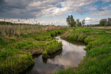 Czersk, Polonya 'daki Cedron Nehri