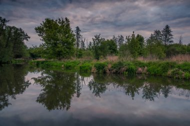 Polonya, Piaseczno yakınlarındaki baharda bulutlu bir sabah sırasında Jeziorka nehri