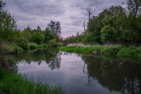 Rio Jeziorka Durante Manhã Nublada Primavera Perto Piaseczno Polônia — Fotografia de Stock