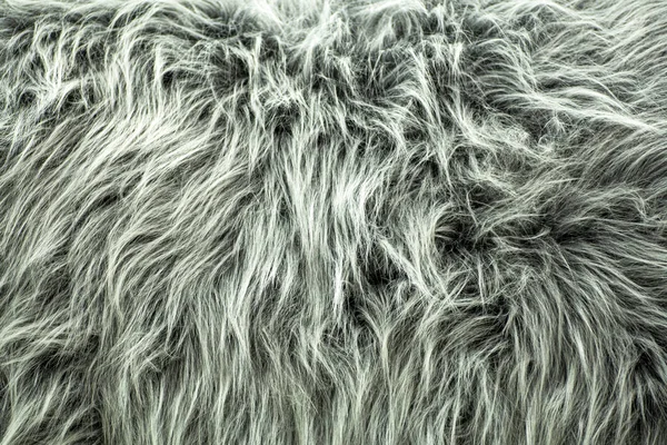 Gray fur background. Pile and texture of fur — Stock Photo, Image