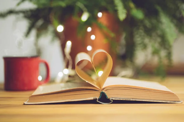Liebe zum Lesen oder Valentinstag Hintergrund. Offenes Buch mit — Stockfoto