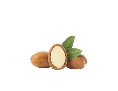 Argan yağı izole edildi. Beyaz arka planda yağlı Argan tohumları. 