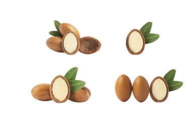 Argan yağı izole edildi. Beyaz arka planda yağlı Argan tohumları. 