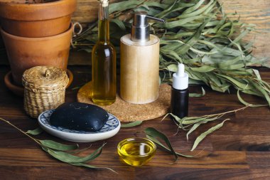 Okaliptüs yağı kozmetiği. Okaliptüs yaprakları, kozmetik ve aromaterapi (spa) için yağ ve özü. Doğal Biyolojik Kozmetik ve Malzemeler.