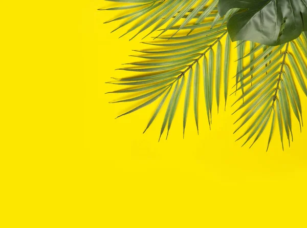 Foglie Tropicali Fondo Giallo Foglie Tropicali Palme Della Giungla Uno — Foto Stock