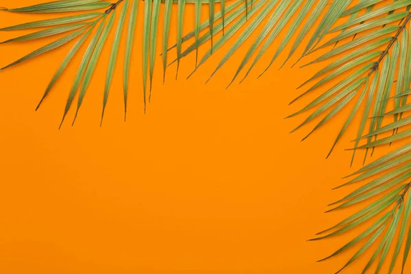 Foglie Tropicali Sfondo Arancione Foglie Tropicali Palme Della Giungla Uno — Foto Stock