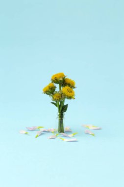 Renkli arka planda pembe bir çiçek. Çiçekli arka plan yaratıcısı. Boşluğu kopyala.