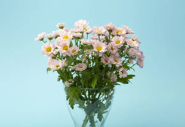 Rózsaszín Virágok Egy Színes Minimális Háttér Virágháttér Koncepció — Stock Fotó