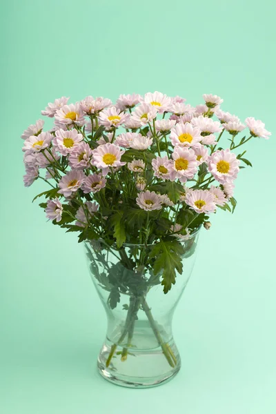 Pink flowers on a colored minimal background. Floral background concept.