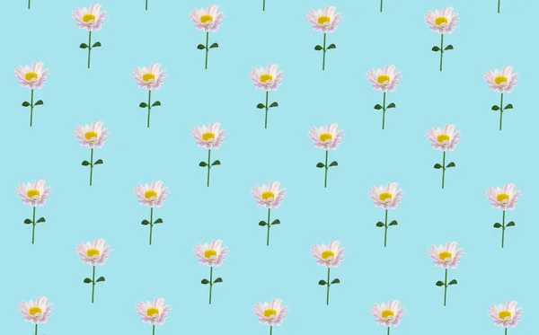Floral minimal background. Flowers on a colored background. Creative minimal background.