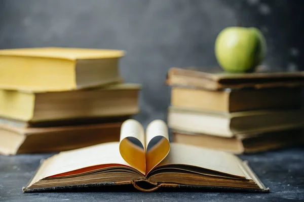 Buchstudie Bibliothek Und Wörterbuch Hintergrund Studierende Universitäten Und Hochschulen Schüler — Stockfoto