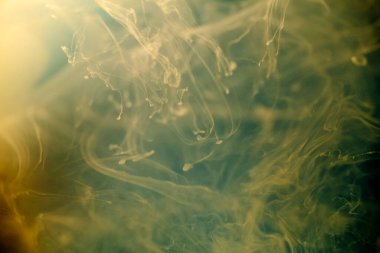 Soyut renk arkaplanı. Suda yüzen boyalar olan sıvı bir arka plan. Psikedelik ve sanat konsepti