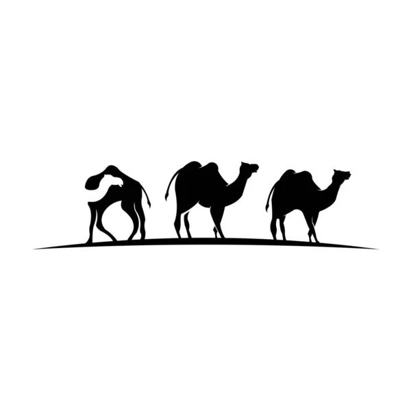 Силуэт Верблюдов Молодых Верблюдов Векторных Верблюдов — стоковый вектор