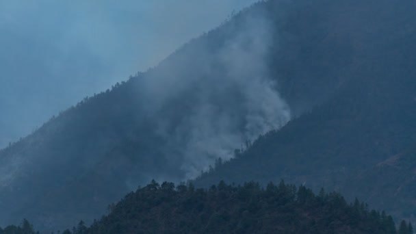 Timelapse Della Foresta Fiamme Nelle Montagne — Video Stock