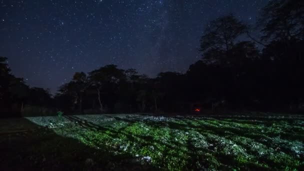 Nachtelijke Timelapse Noordoost India — Stockvideo