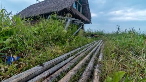 Timelapse Sobre Casa Madera — Vídeo de stock