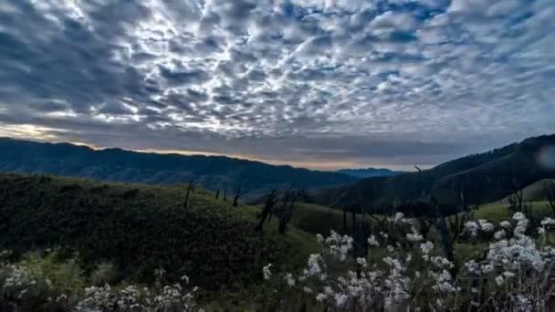 位于Nagaland的Dzukou山谷的夕阳西下 — 图库视频影像