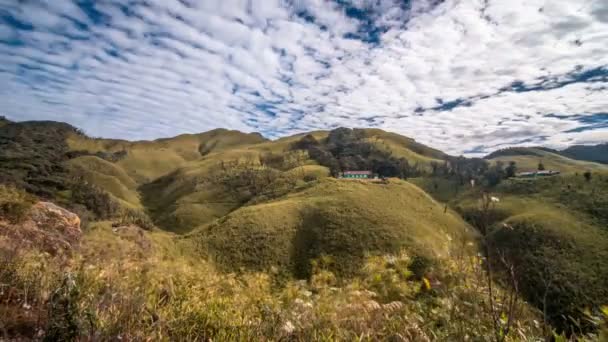 Timelapse Dzukou Valley Nagaland — стоковое видео