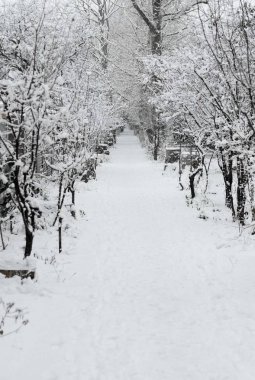 Kırım'karlı kış