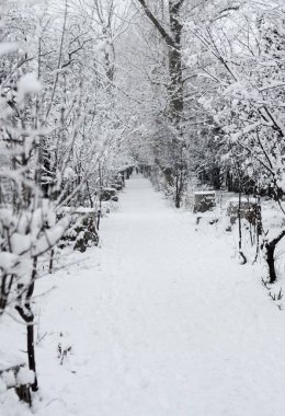 Kırım'karlı kış