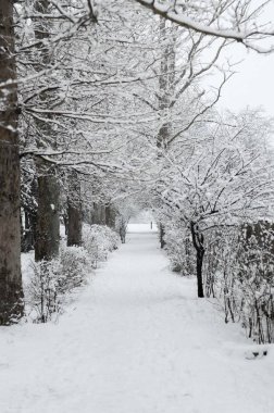 Kırım'karlı kış