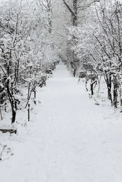 Kırım'karlı kış