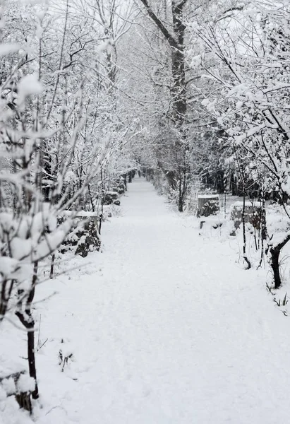 Kırım'karlı kış