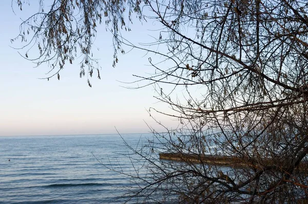 Plage d'hiver sur la côte de la mer Noire en Crimée — Photo