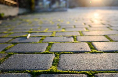 Karadeniz Kırım deniz üzerinde kömür topakları