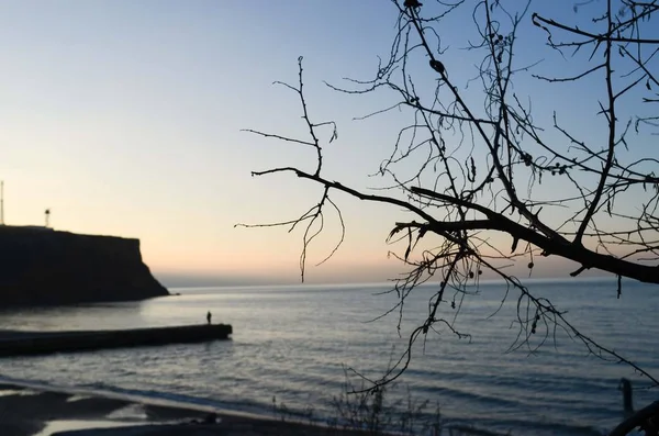 Plage d'hiver sur la côte de la mer Noire en Crimée — Photo