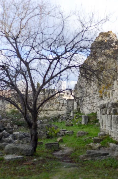 Chersonese Kırım kalıntıları — Stok fotoğraf