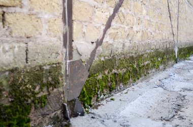 Endüstriyel bir binanın duvarında moss